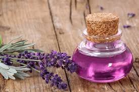 Lavender Oil Benefits